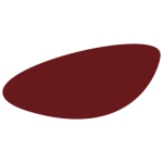 credin favicon credin favicon